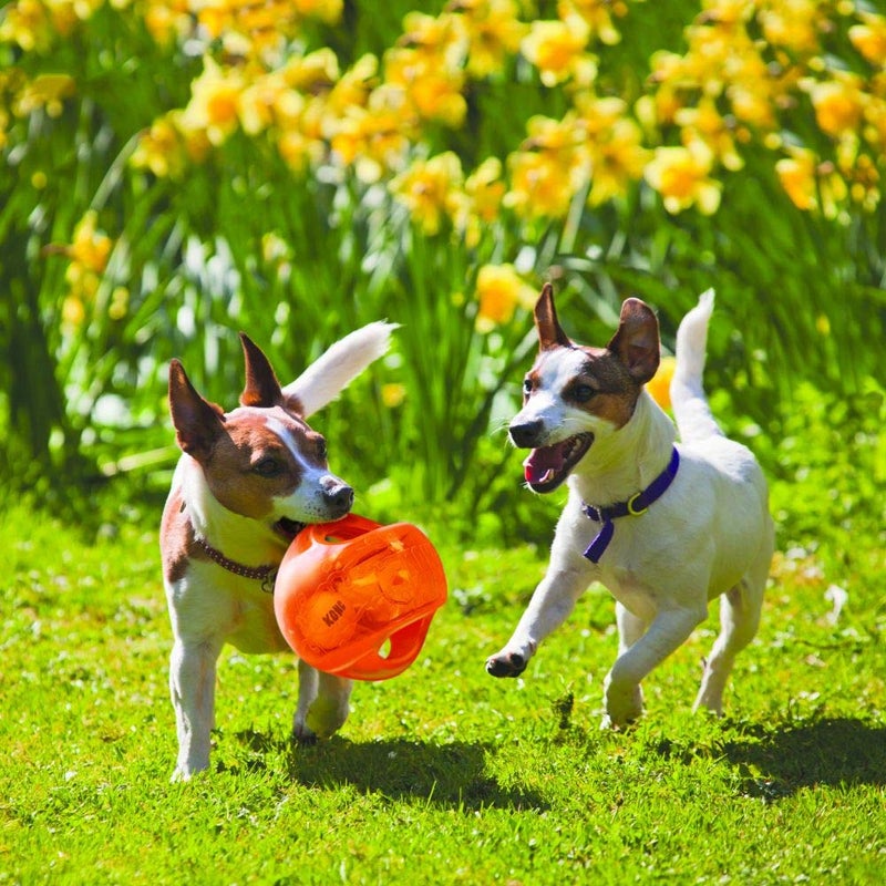 KONG Jumbler Ball - Interactive Toy for Dog & Puppy Playtime - Fetch Toy with Tennis Ball - Dog Supplies for Engaging Play - for Medium/Large Dogs - Assorted Colors - Image 2